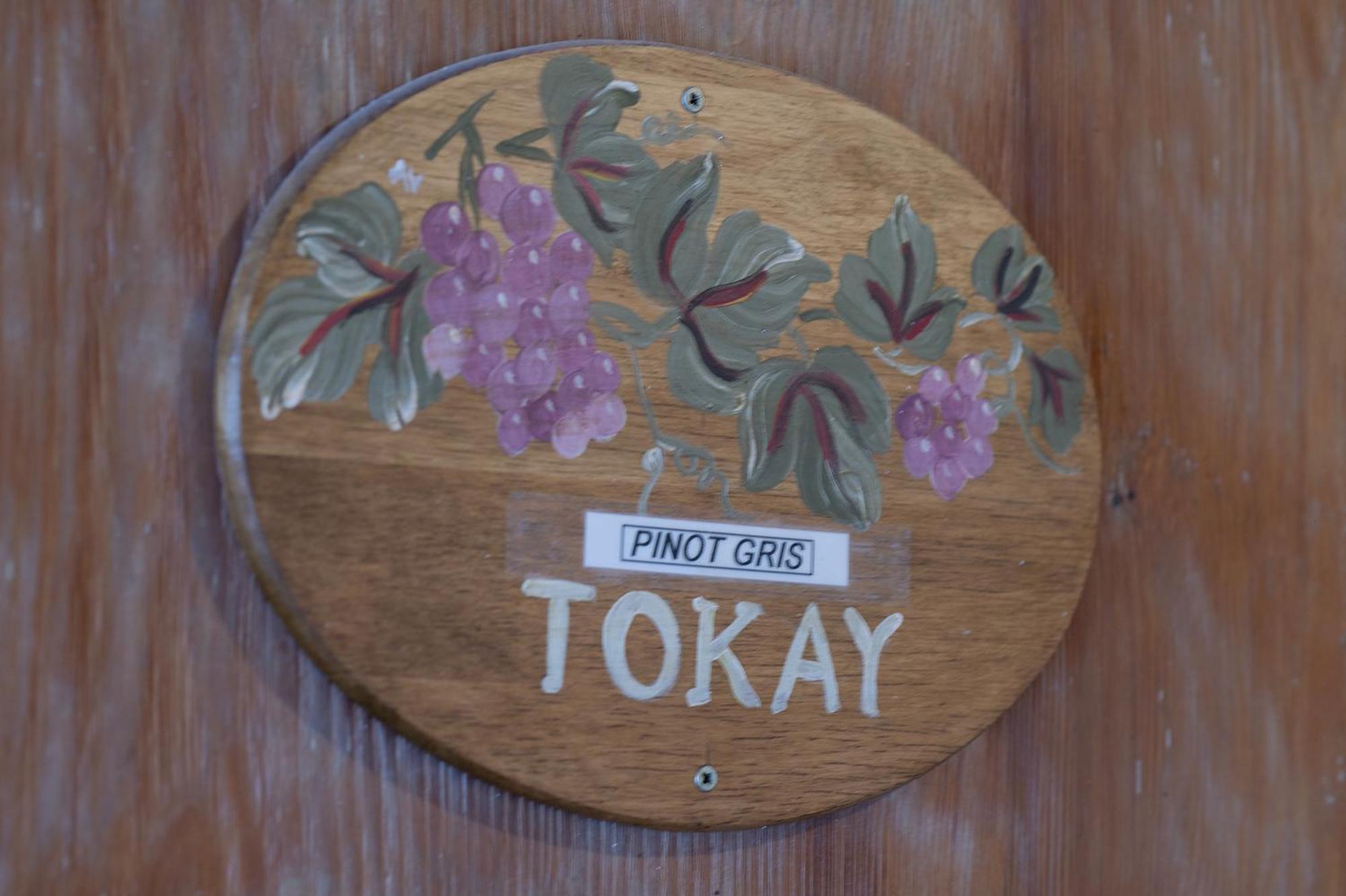 Pinot Gris - Charmant Studio Au Coeur Du Vignoble - Parking Gratuit Рикевир Экстерьер фото