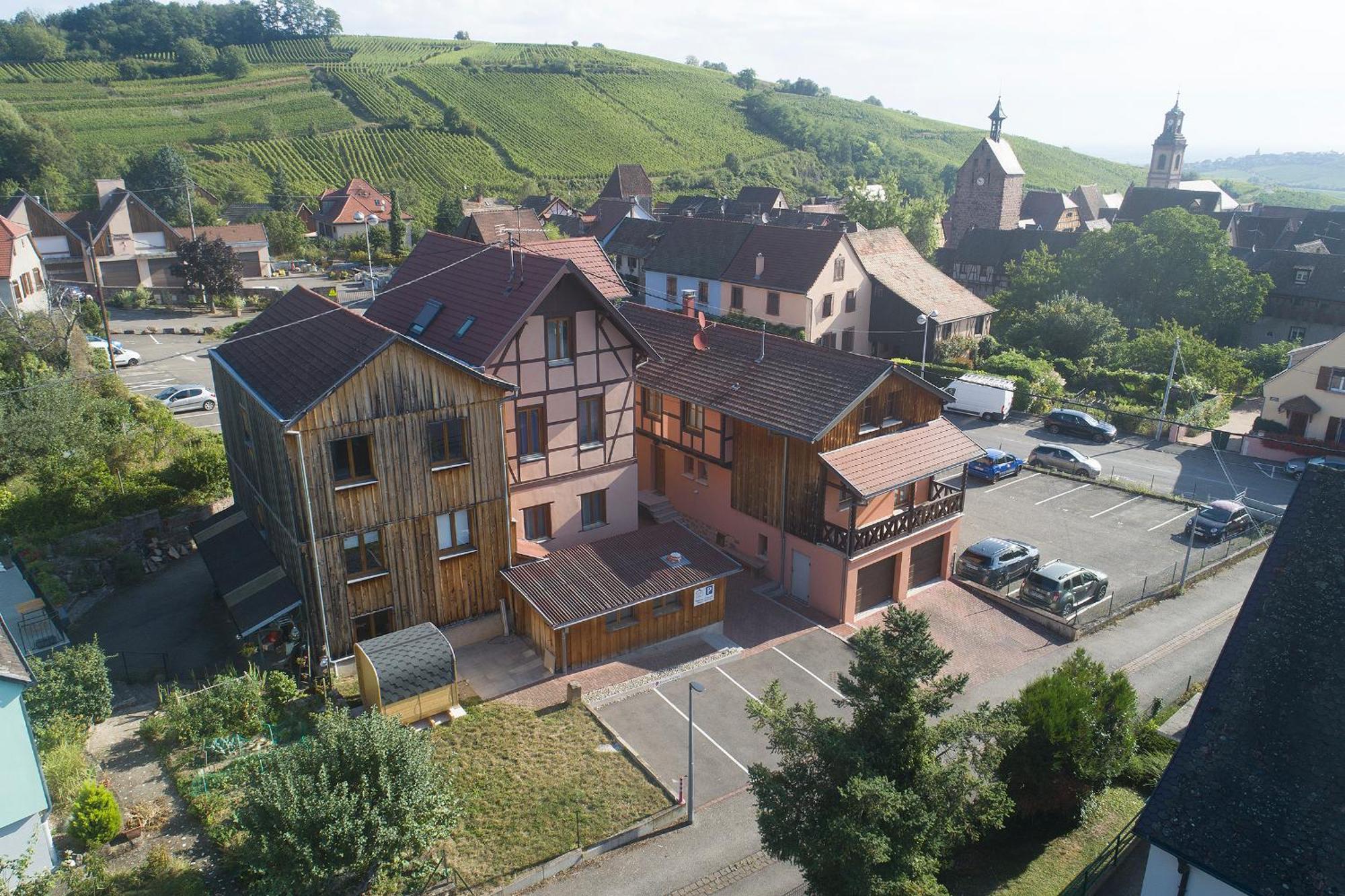 Pinot Gris - Charmant Studio Au Coeur Du Vignoble - Parking Gratuit Рикевир Экстерьер фото